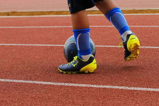 开云体育平台-篮球运动员心理健康支持体系构建，篮球运动员心理健康支持体系构建方案