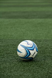 开云体育足球-高校体育赛事应急管理体系构建，体育赛事应急预案细则