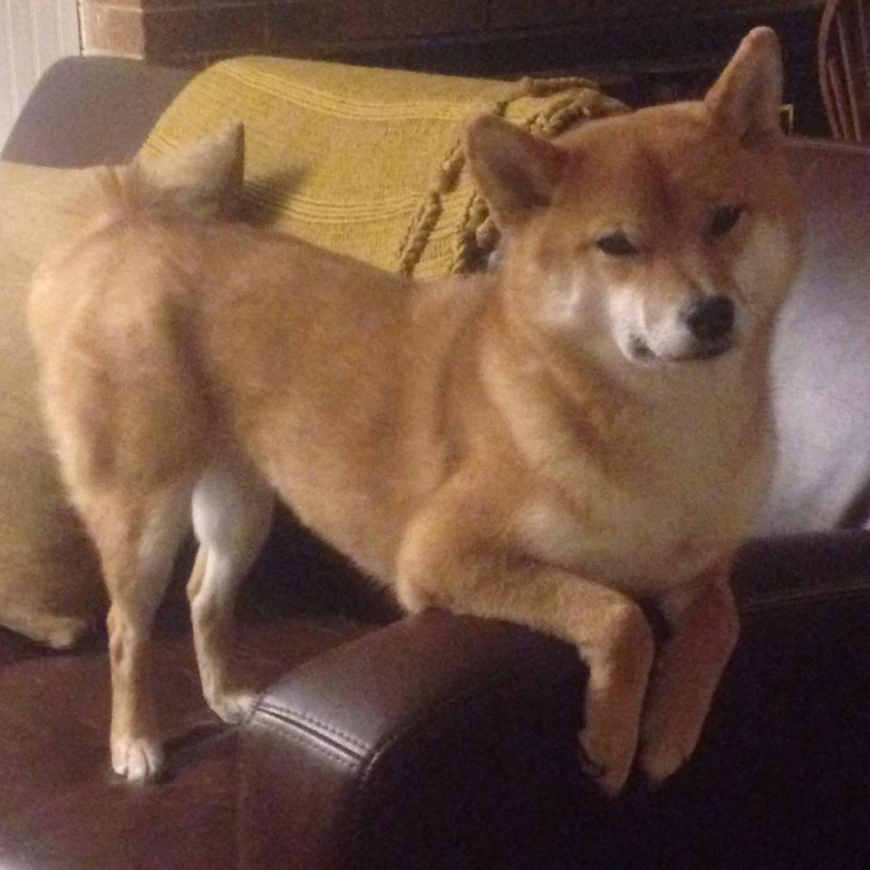 开云在线登入-“阿仙奴战热刺：激战香港，谁能称雄？”