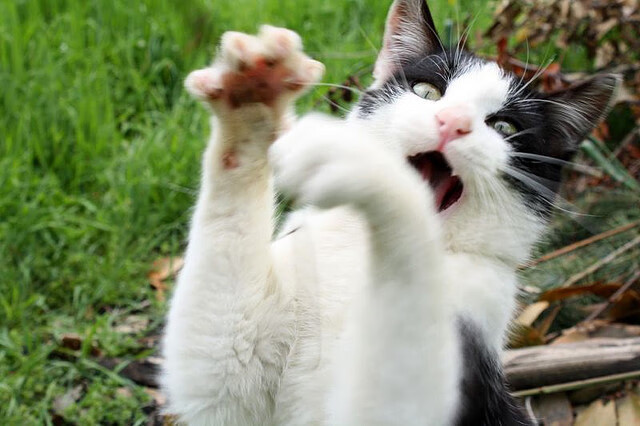 中国男篮提升应对高压逼抢的技术细节