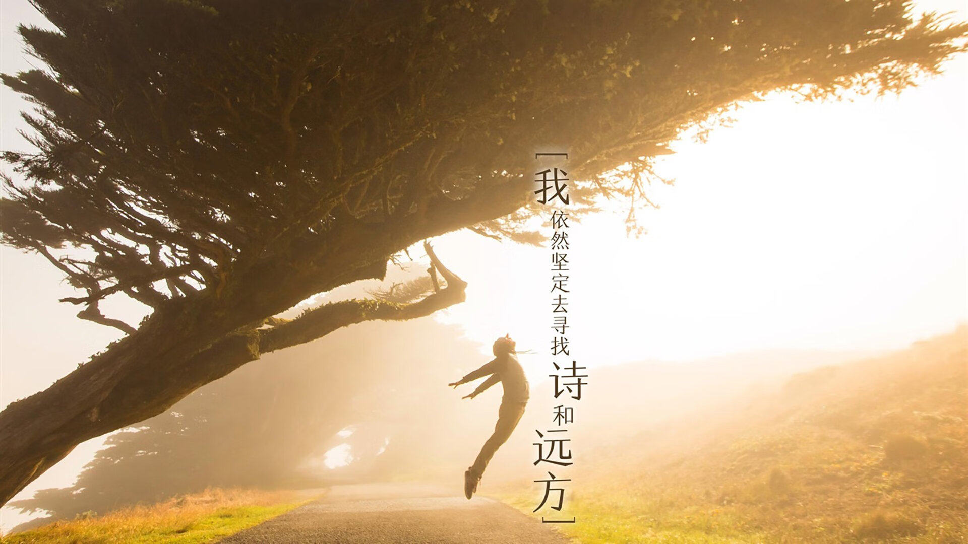 亚冠晋级球队备战策略各具特色，亚冠晋级球队备战策略各具特色是什么