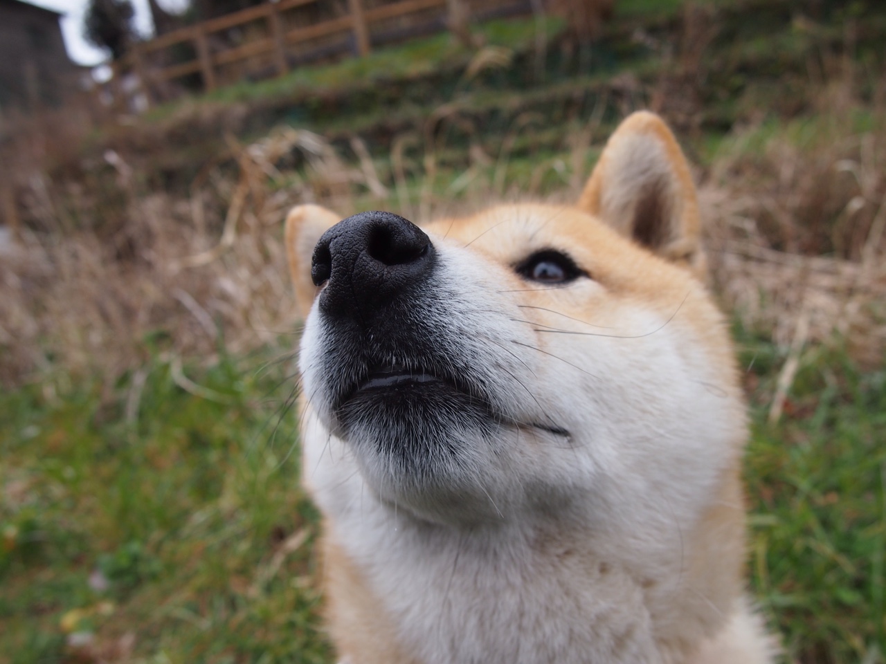 开云ky官网-体测改革覆盖特殊教育群体实现全员参与，体测特殊体质