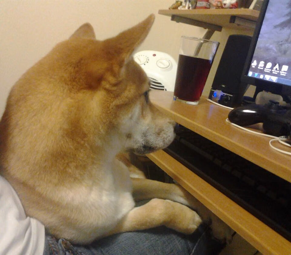 开云app-多特蒙德围抢体系打出快节奏破防，多特蒙德全队