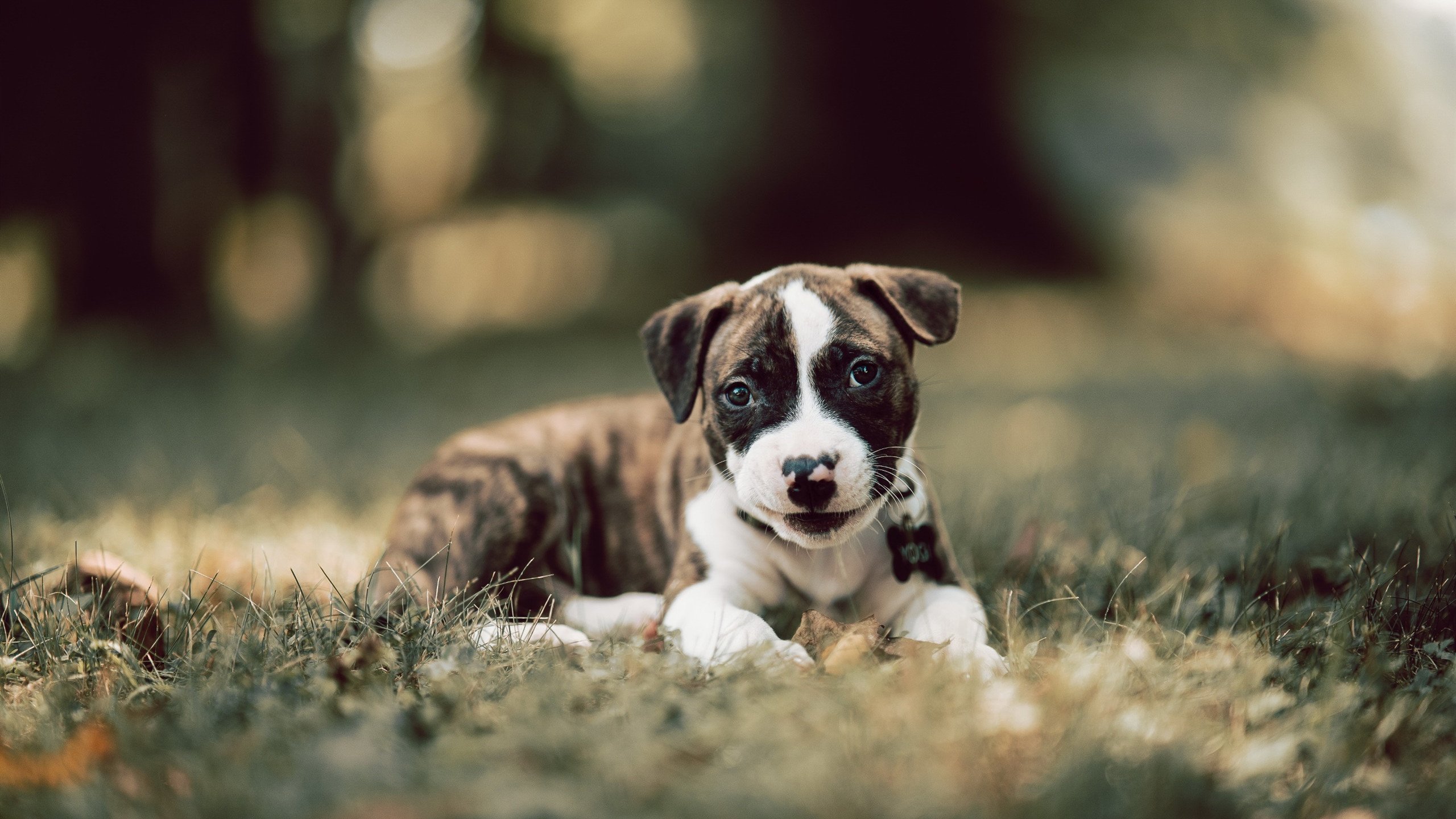 女足青训营逐步推行分层管理实现按需定制训练，女足精英训练营