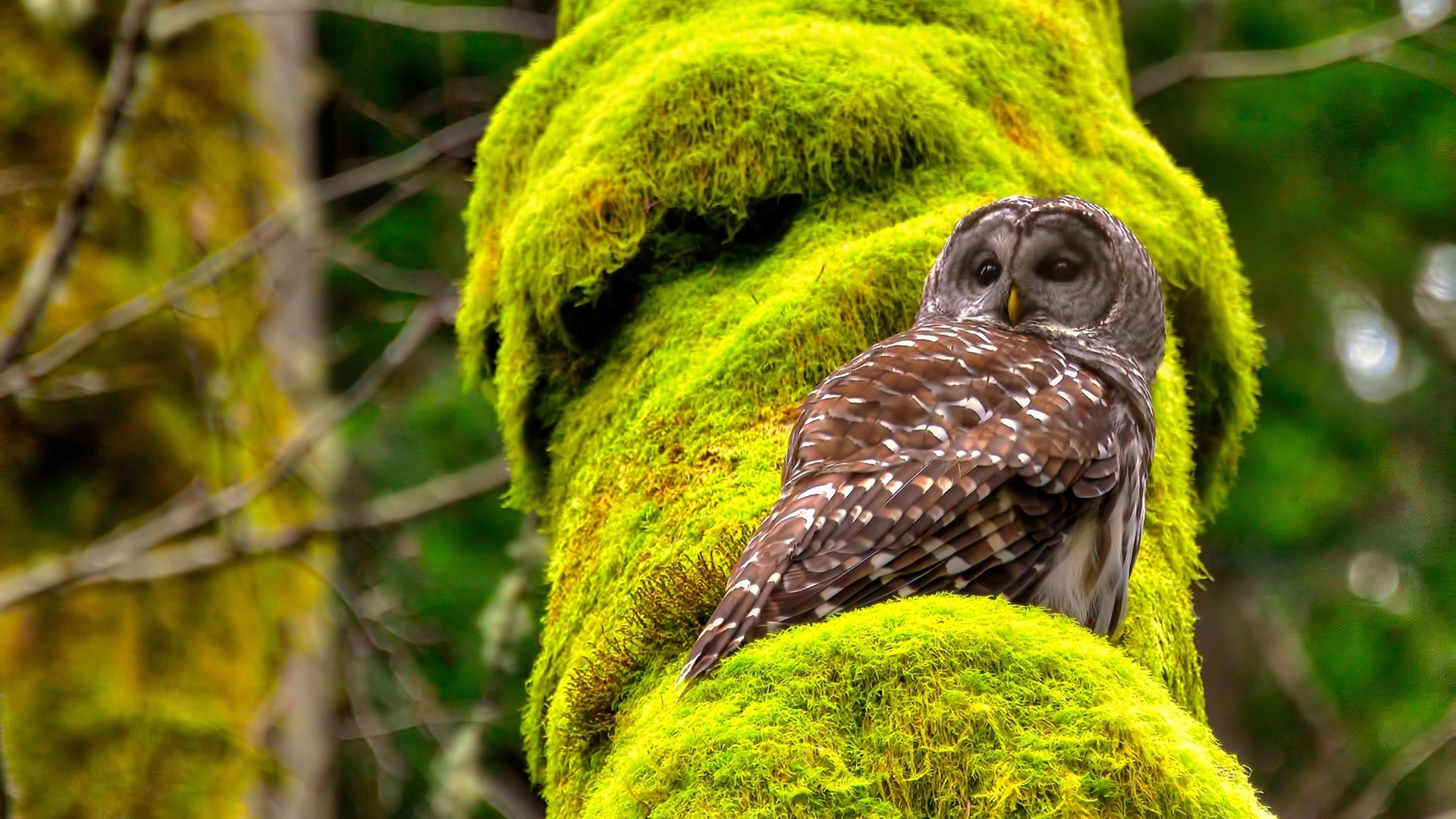 女足青训营逐步推行分层管理实现按需定制训练，女足精英训练营