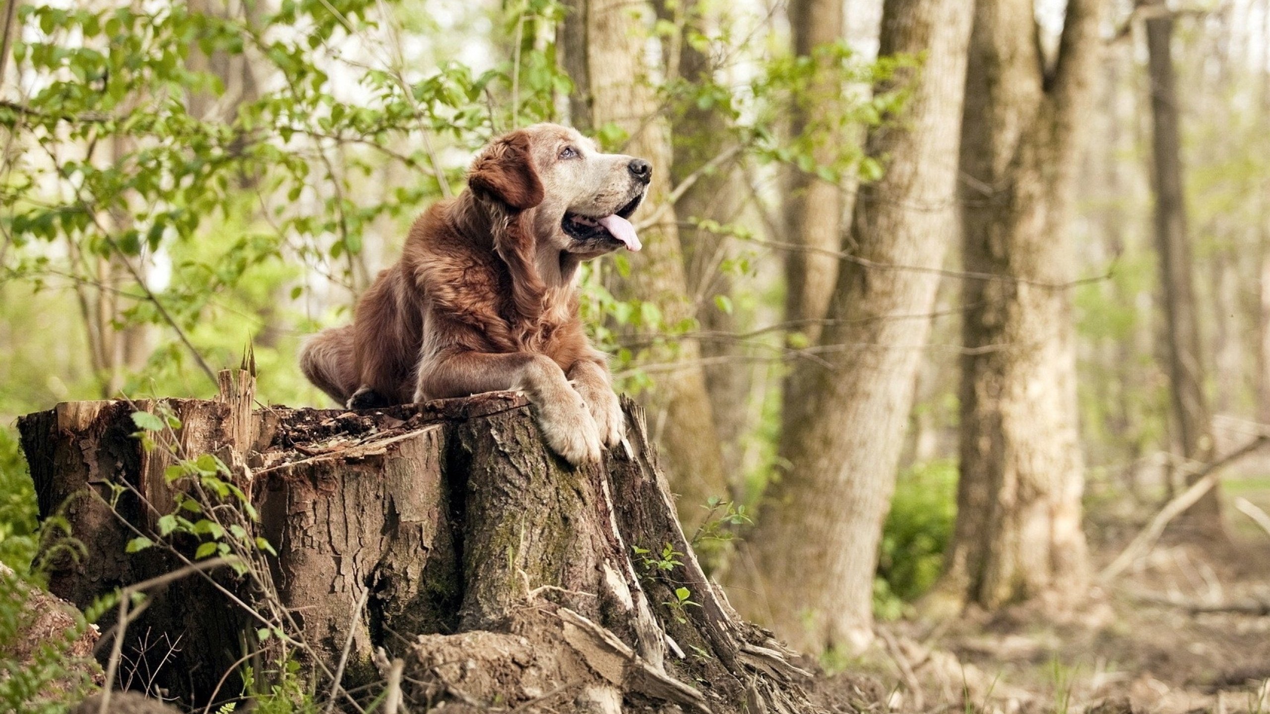 开云官方网-英格兰男队与女队，哪个更能带动赛事热度？，英格兰男队与女队,哪个更能带动赛事热度呢